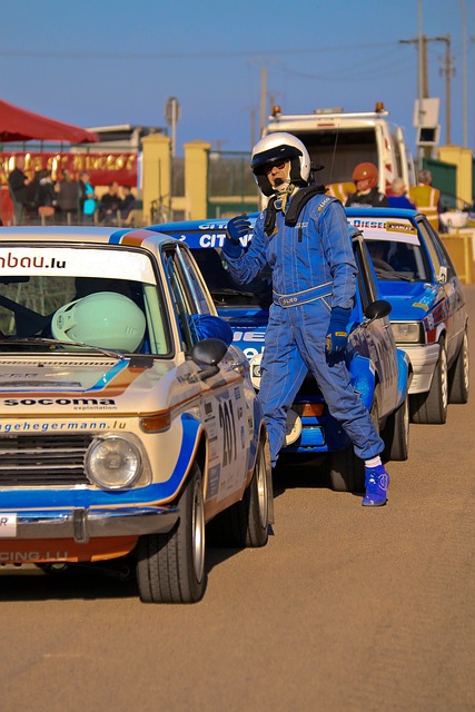 大利亚和新 大利亚和新