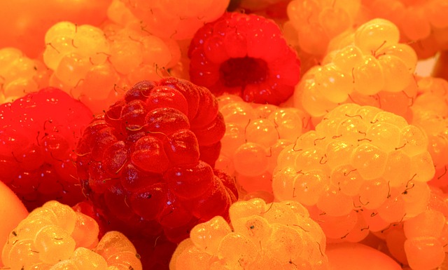 的环境中发 的环境中发