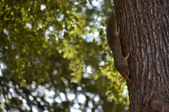 在这样的赛 在这样的赛