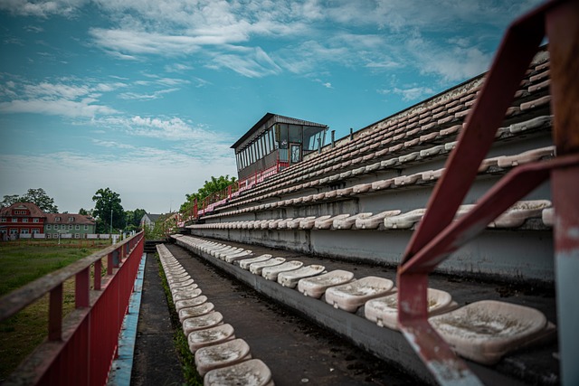 在球队中的 在球队中的
