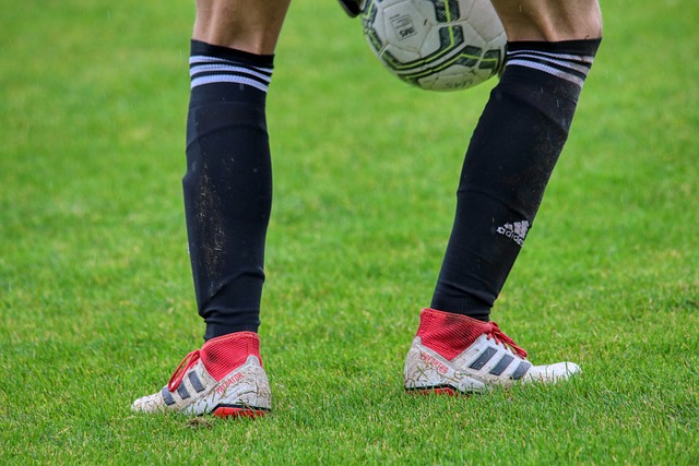 之上建立起 之上建立起