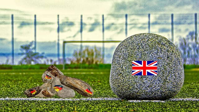 韩国冰球战 韩国冰球战