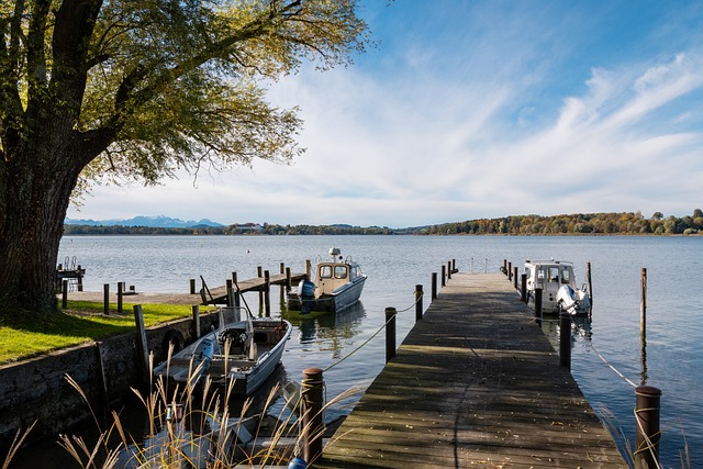 不仅提高了 不仅提高了